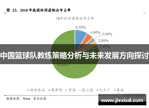 中国篮球队教练策略分析与未来发展方向探讨